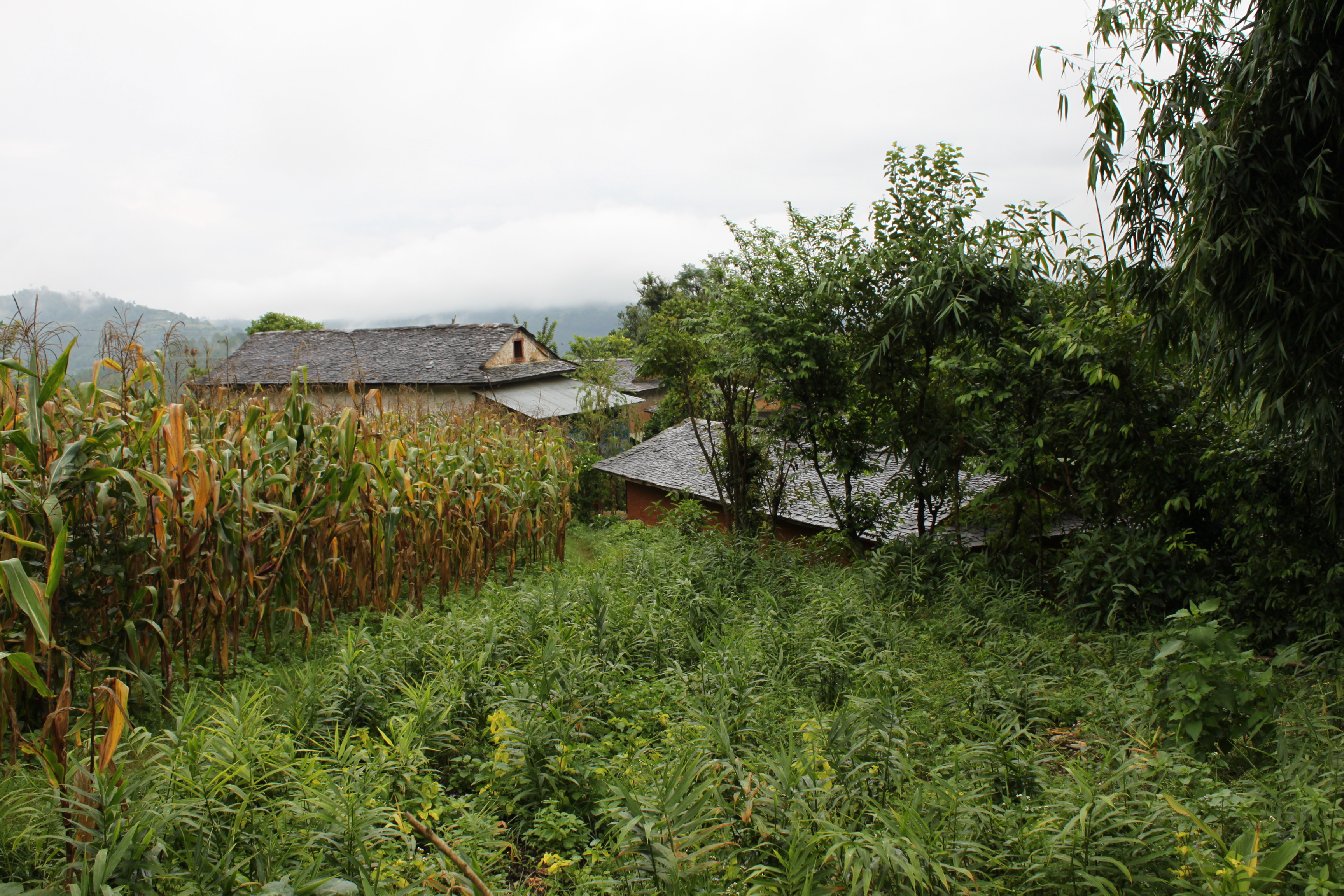 View over a typical farm household in the mid-hills of Pyuthan, Nepal