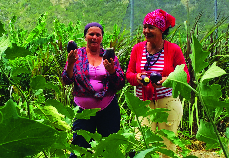Drought resilience activities in San Antonio del Sur, Cuba