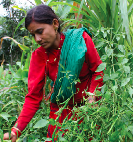 A farmer assisted by the project shows her vegetable garden