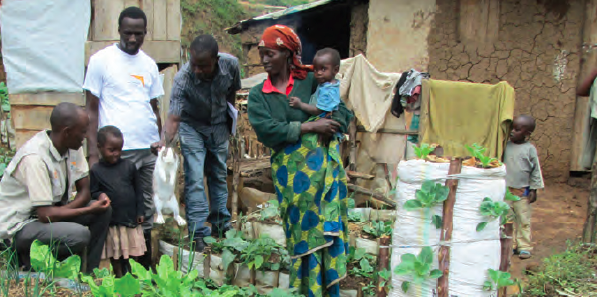 Sack gardens, Nyamagabe district, South Zone, Rwanda