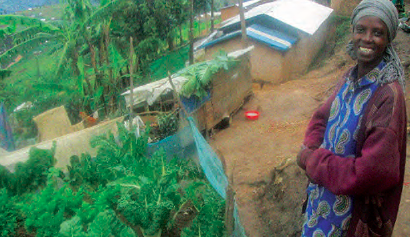 Vegetable gardens in Kiziba refugee camp, Rwanda