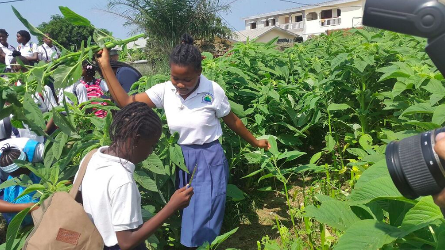 Green Classes at Okala school in Libreville