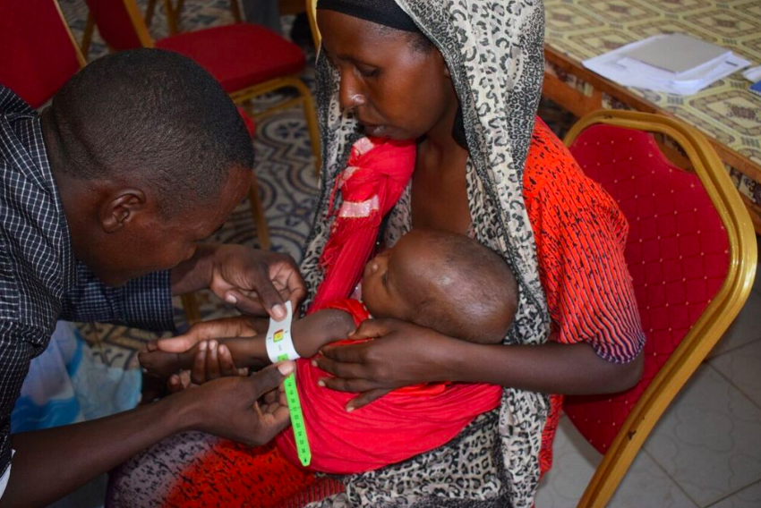 CBNS data collection exercise in Luuq, Gedo Province