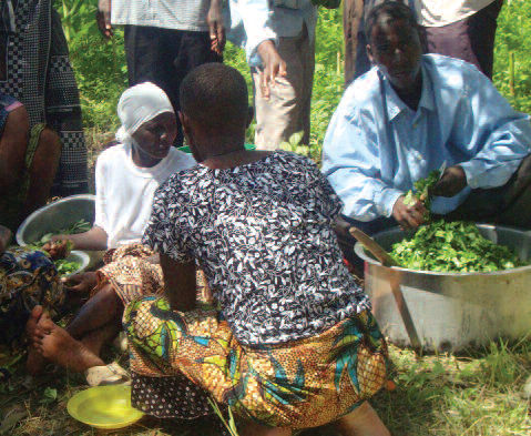 Learning by doing: male participation is key to the nutritional wellbeing of the family