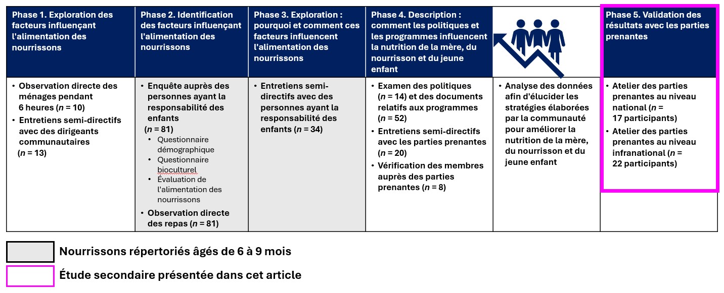La figure présente une vue d’ensemble de la méthodologie des cinq phases ; quatre d’entre elles ont précédé les résultats présentés dans cet article. Phase 1 : Exploration des facteurs influençant l'alimentation des nourrissons. Phase 2 : Identification des facteurs influençant l'alimentation des nourrissons. Phase 3 : Exploration : pourquoi et comment ces facteurs influencent l'alimentation des nourrissons. Phase 4 : Description : comment les politiques et les programmes influencent la nutrition de la mère, du nourrisson et du jeune enfant. Ces données ont ensuite été analysées afin d'élucider les stratégies élaborées par la communauté pour améliorer la nutrition de la mère, du nourrisson et du jeune enfant. Phase 5 : étude secondaire présentée dans cet article, validant les résultats avec les parties prenantes. 