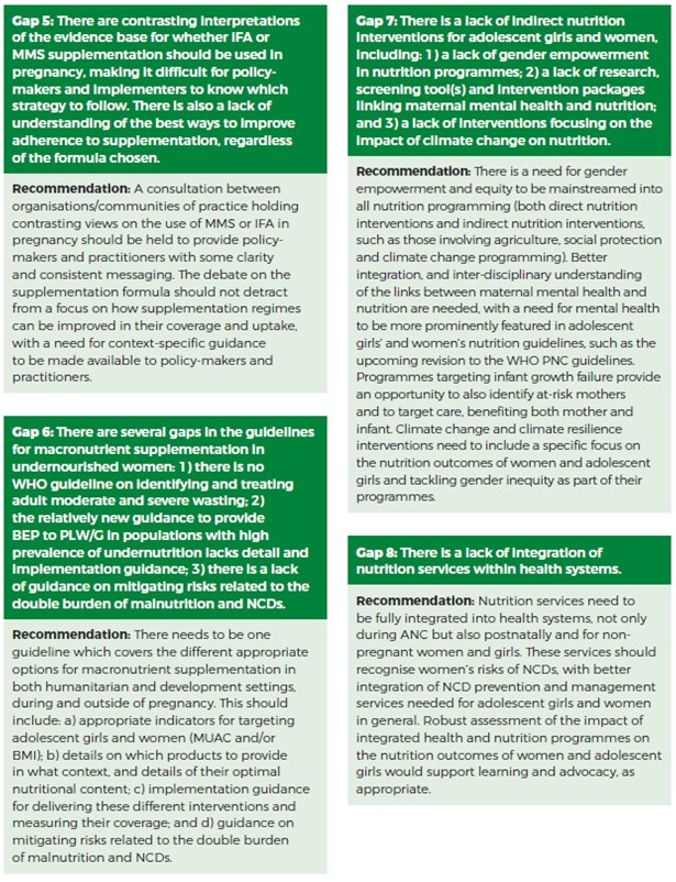 Numbers five to eight of key gaps and recommendations for progress that were identified.