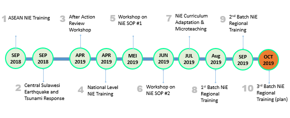 NiE capacity-building milestones