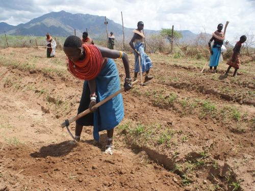 FB Kenyan farmers in a field