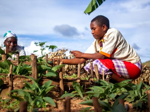 Merankebandi household tending to their kitchen garden. Burundi