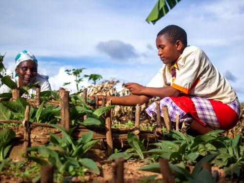 Merankebandi household tending to their kitchen garden. Burundi