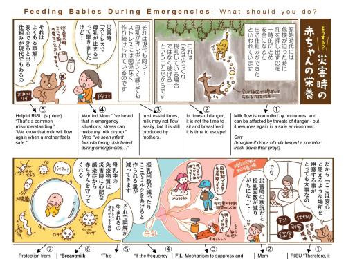 Comic titled, "Feeding babies during emergencies: What should you do?" Image shows comic of what you do when feeding babies in emergencies.
