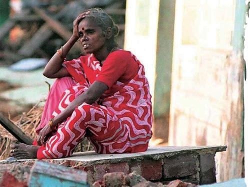 Front cover shows a picture of a woman sitting on top of a bit of building looking out across the rubble