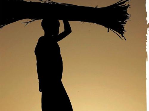Front cover of document titled, "Special focus on Nutrition Cluster coordination." Image shows silhouette of someone carrying straw on their head.