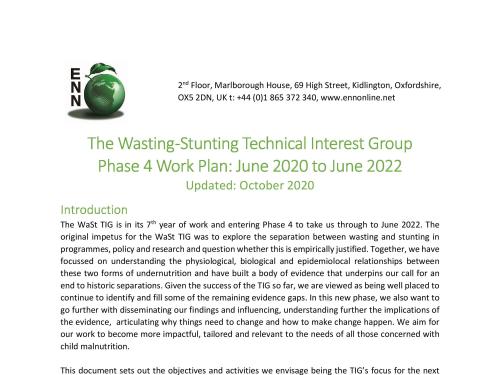 First page of document titled, "The Wasting-Stunting Technical Interest Group Phase 4 Work Plan: June 2020 to June 2022." 