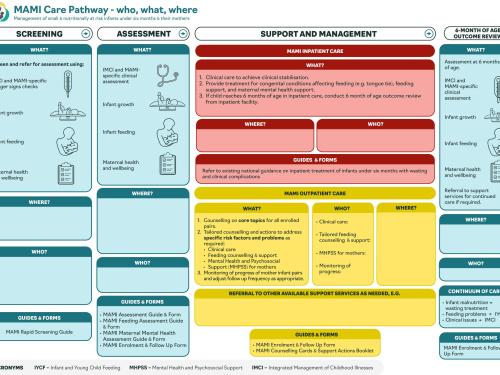 The MAMI Care Pathway Who What Where document first page