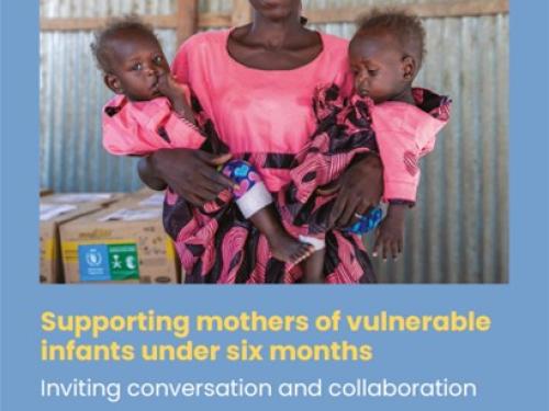 Cover of Supporting Mothers of Vulnerable Infants featuring standing happy mother carrying her children