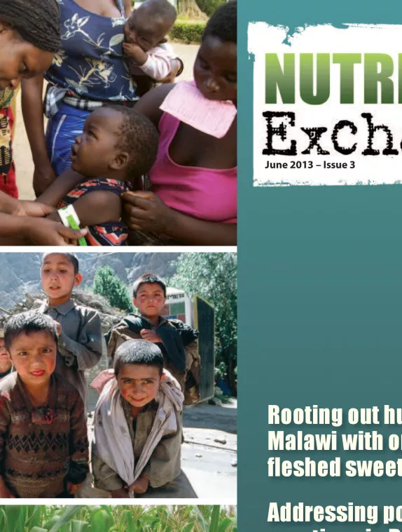 Front cover of issue 3 of Nutrition Exchange, English version. 