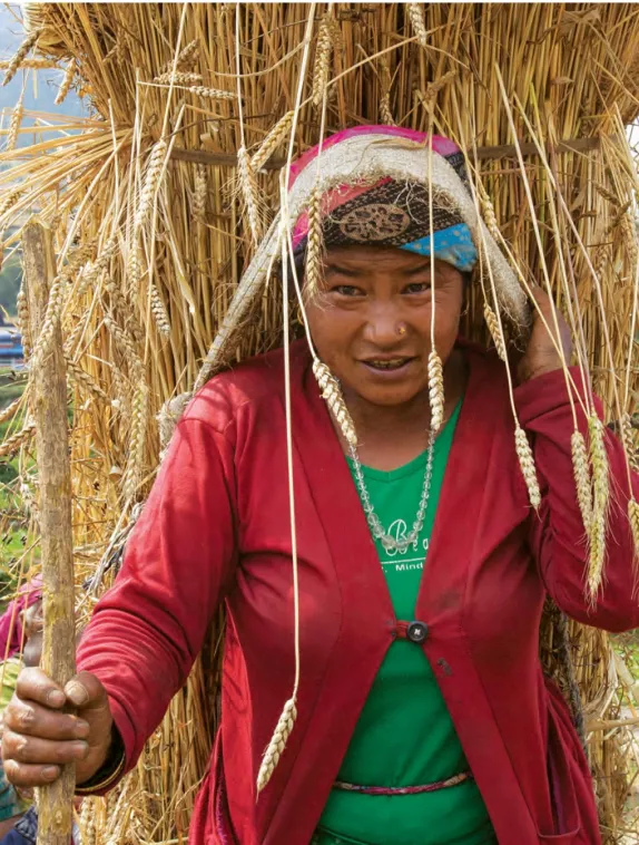 Front cover of issue 6 English version of Nutrition Exchange. Image shows a woman walking with a stick and a bale of straw strapped to her back. 
