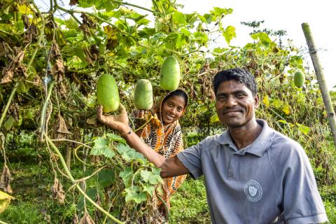 two figures pose next to a productive fruit tree