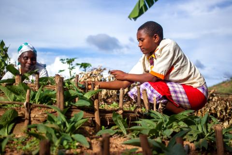 Merankebandi household tending to their kitchen garden. Burundi