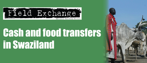 FEX 36 Banner