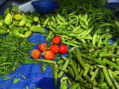 Vegetables on a plastic sheet