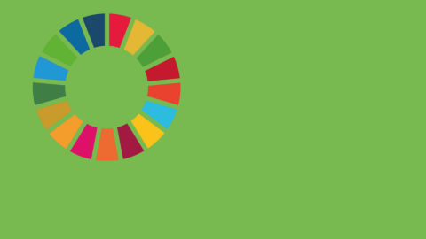 Sustainable Development Goals logo of a colourful circle