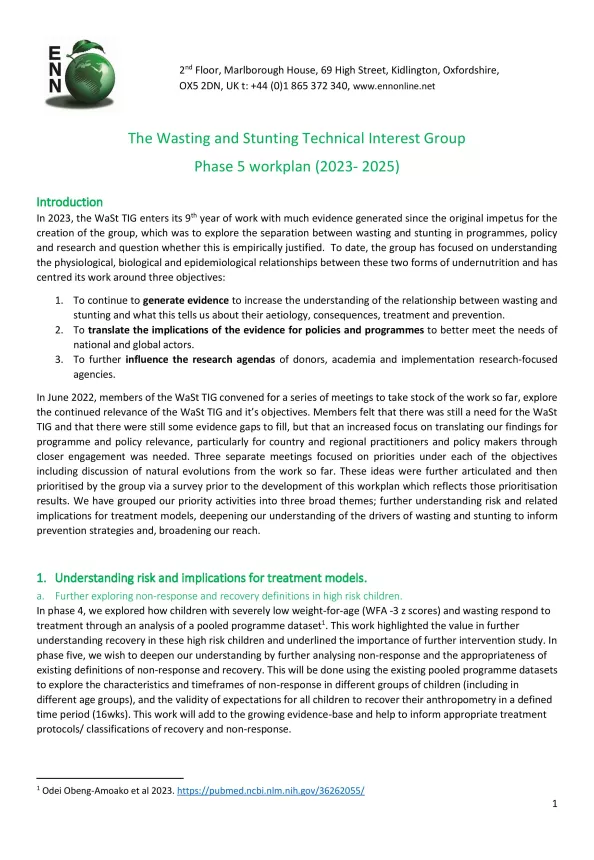 First page of document 'The Wasting and Stunting Technical Interest Group Phase 5 workplan (2023- 2025)'