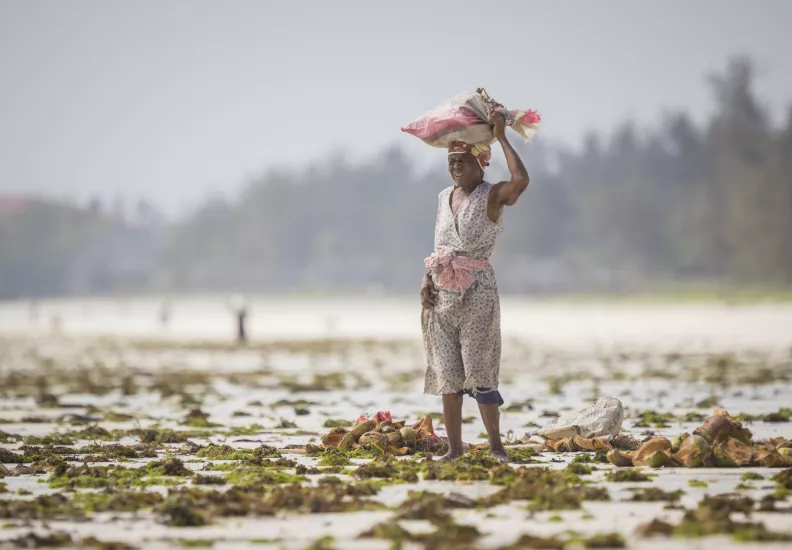 woman in an empty crop field