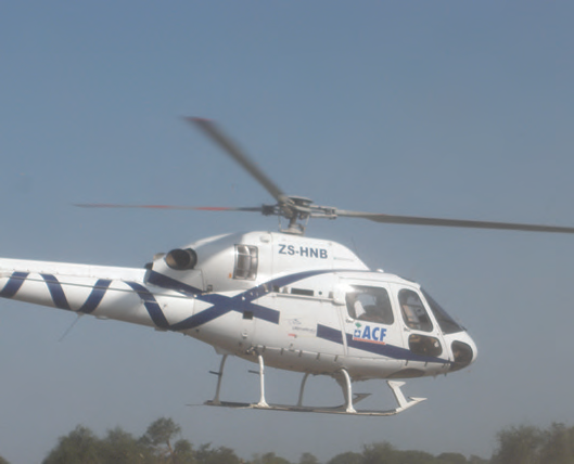 Transport in Fashoda