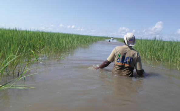 Anthony, a SET officer, on his way to a sampled village